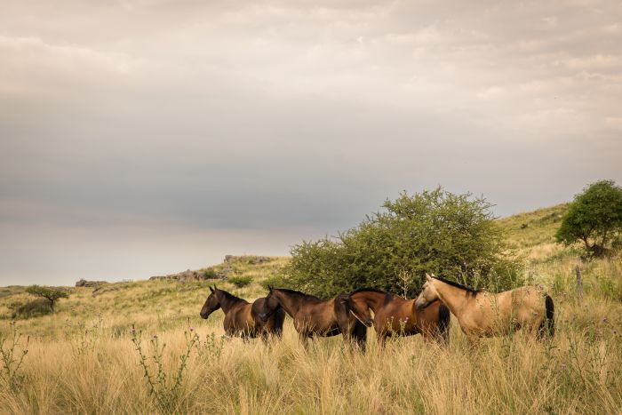 Komfort Estancia in der Sierra Chicas