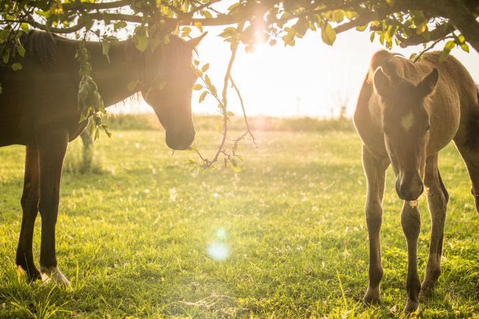 Komfort Estancia in der Sierra Chicas