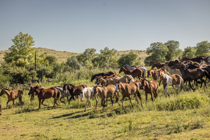 Komfort Estancia in der Sierra Chicas