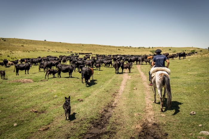 Komfort Estancia in der Sierra Chicas