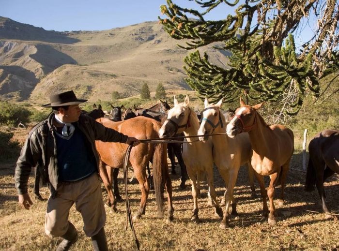 Pioniere in Patagonien