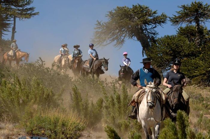 Pioniere in Patagonien