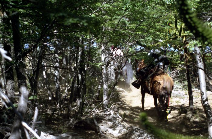 Pioniere in Patagonien