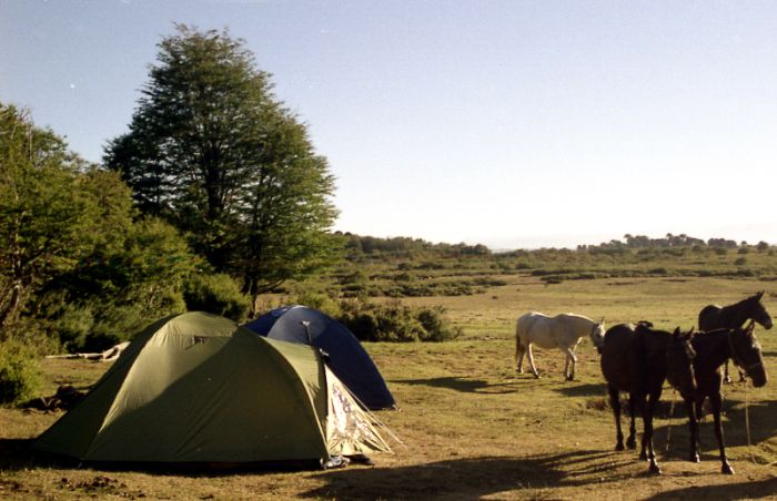 Pioniere in Patagonien