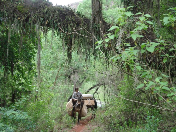 Inka-Trail bei Salta