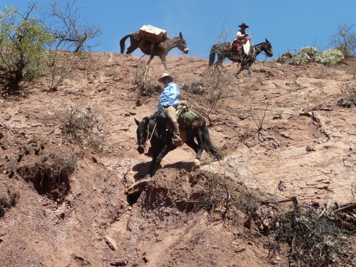 Inka-Trail bei Salta