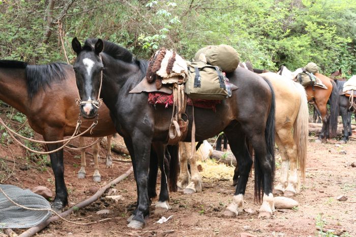 Inka-Trail bei Salta