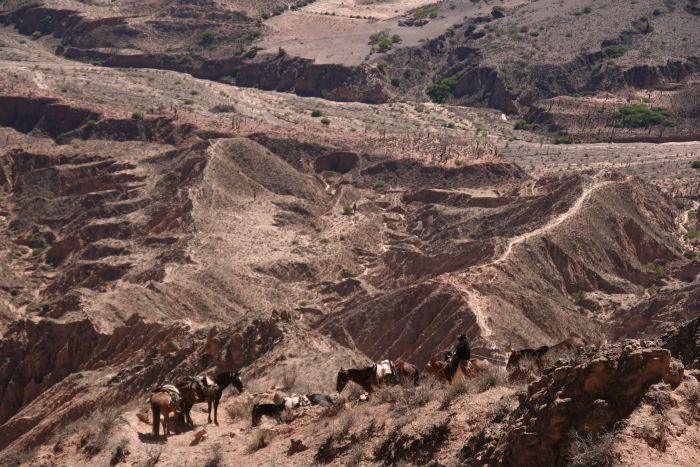 Inka-Trail bei Salta