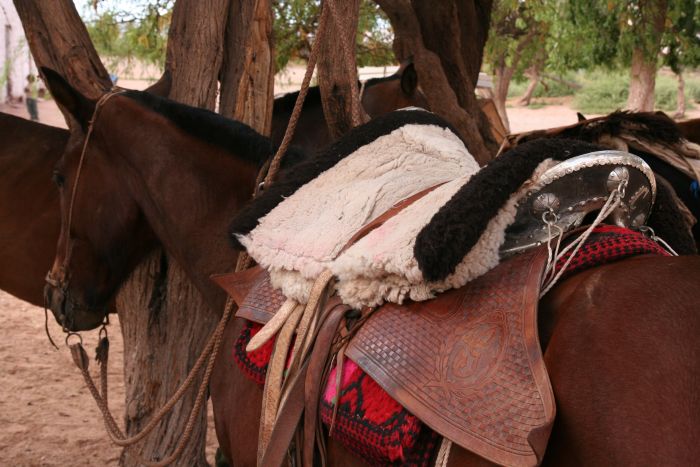 Inka-Trail bei Salta