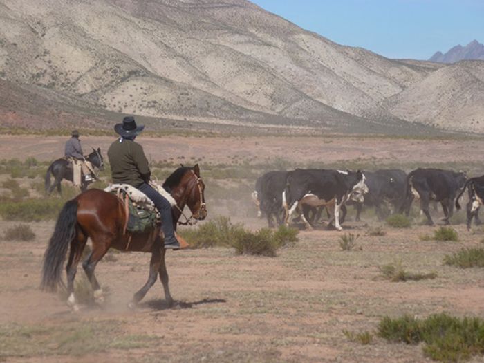 Inka-Trail bei Salta