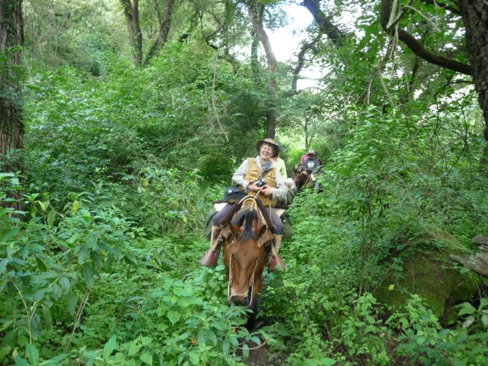 Inka-Trail bei Salta