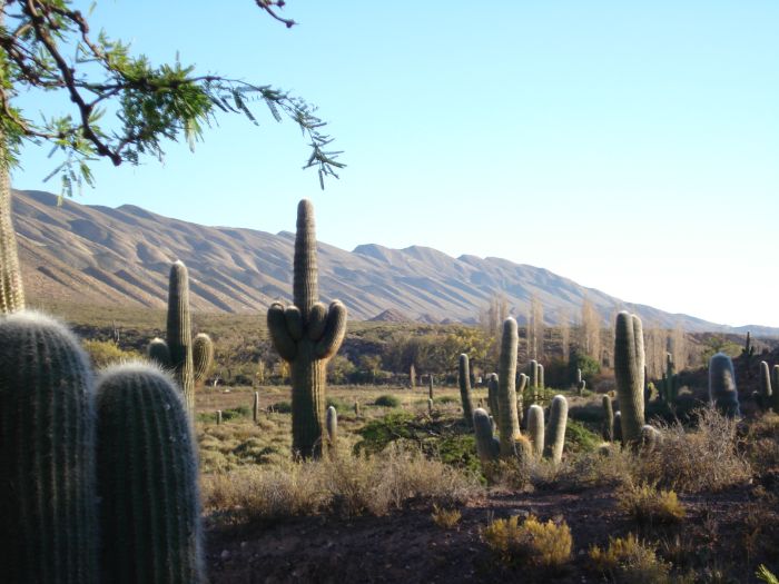 Inka-Trail bei Salta