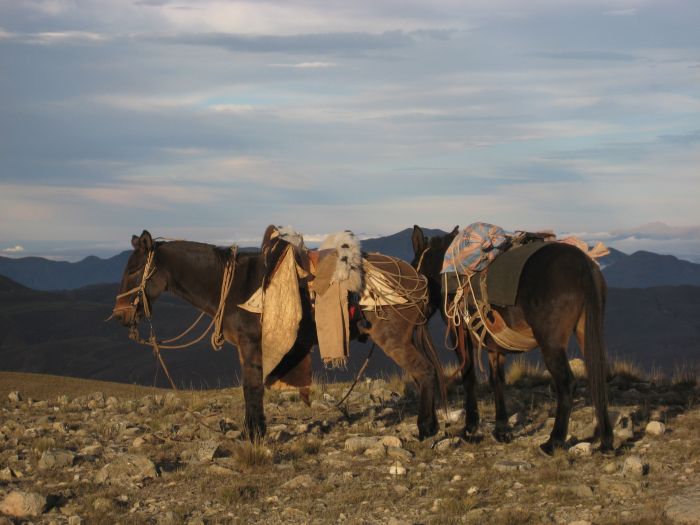 Inka-Trail bei Salta