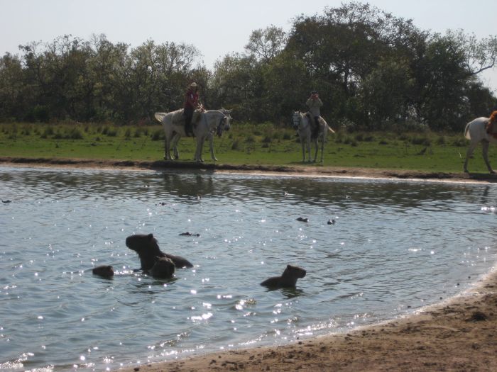 Pantanal Ritt