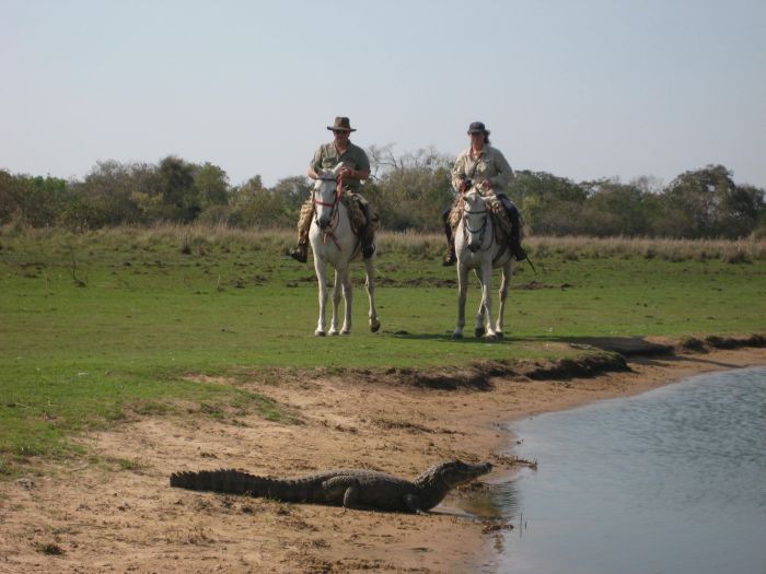 Pantanal Ritt