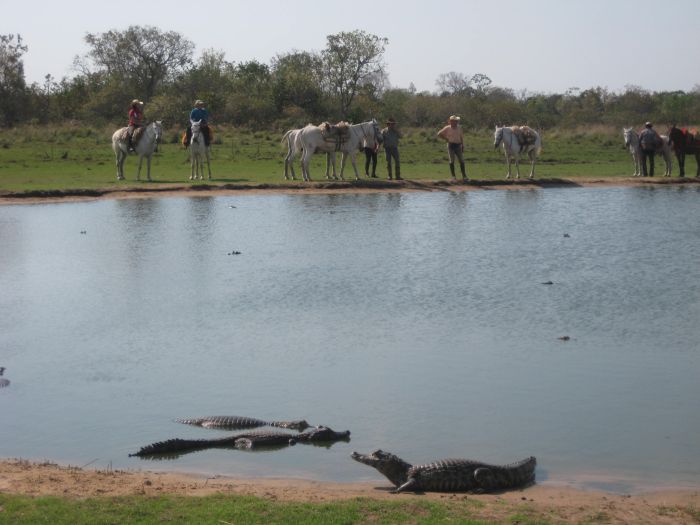 Pantanal Ritt