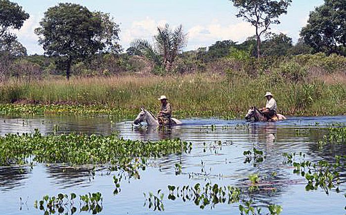 Pantanal Ritt