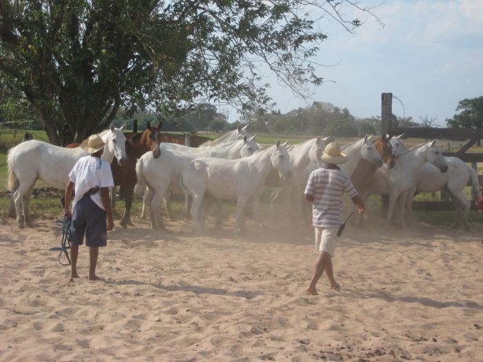 Pantanal Ritt