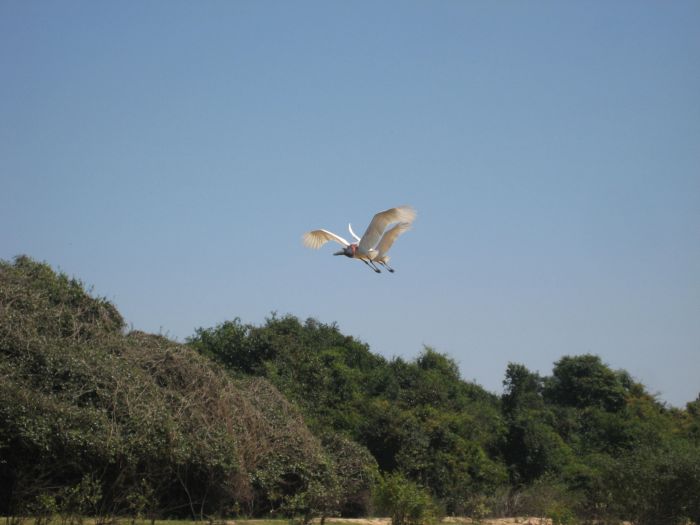 Pantanal Ritt