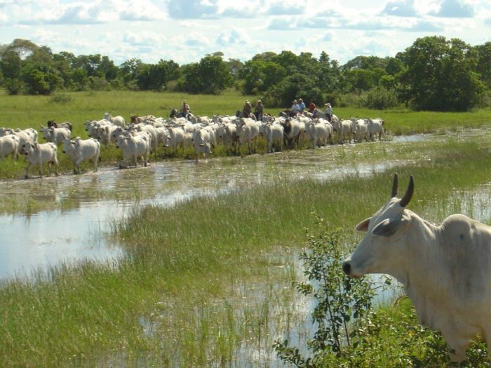 Pantanal Ritt