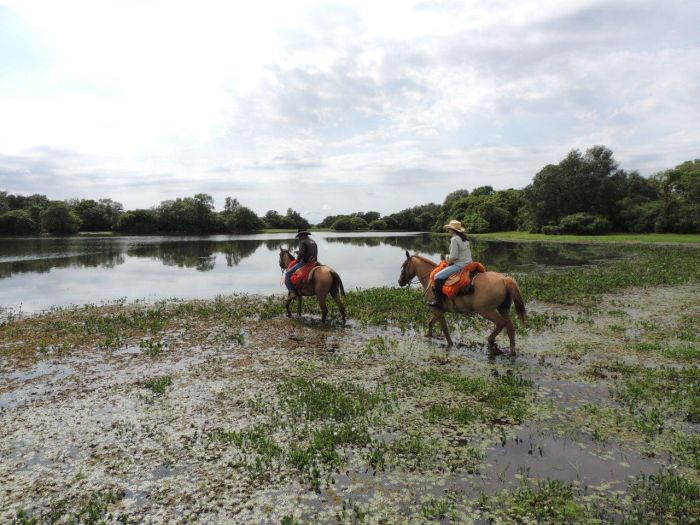 Pantanal Ritt