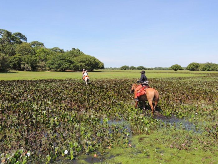 Pantanal Ritt