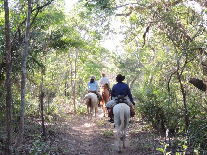 Pantanal Ritt