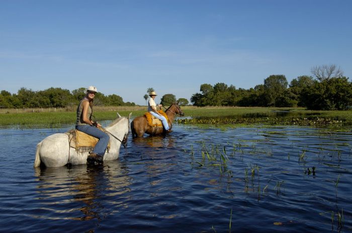 Pantanal Ritt