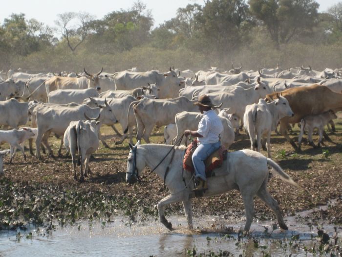 Pantanal Ritt