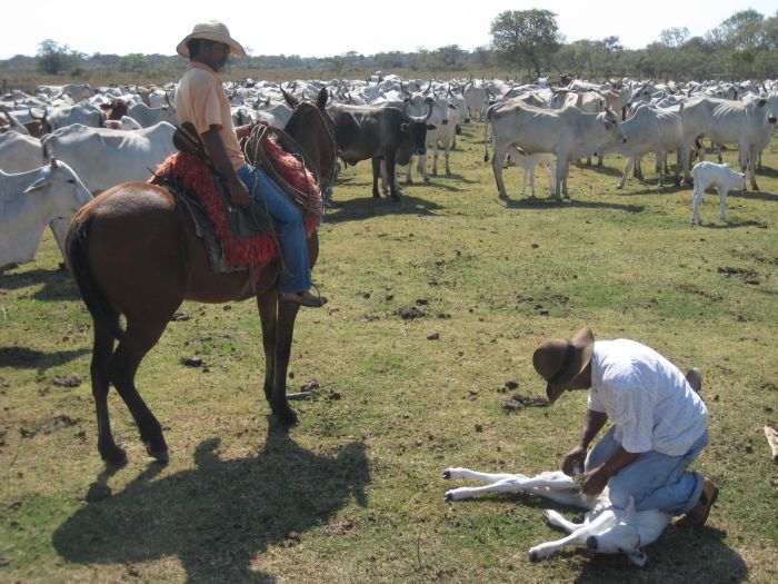 Pantanal Ritt