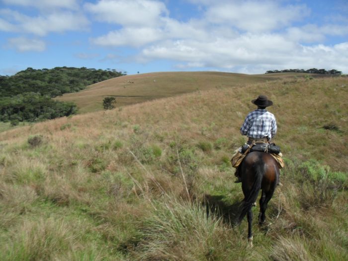 Gaucho Pampas Trail