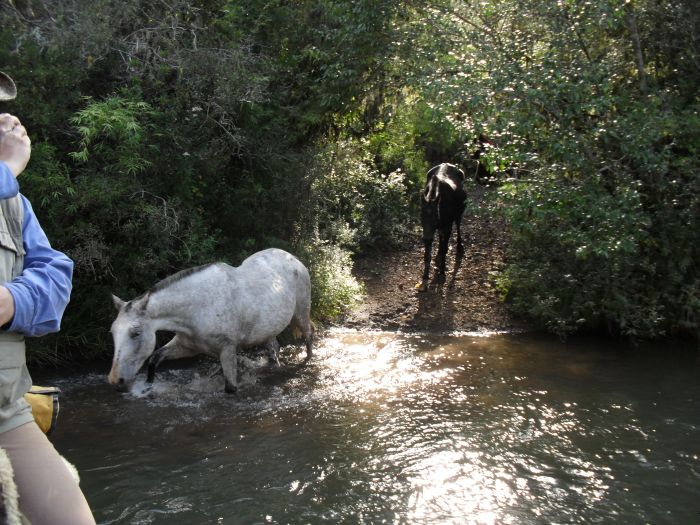 Gaucho Pampas Trail