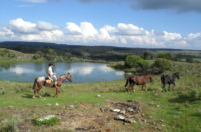 Gaucho Pampas Trail