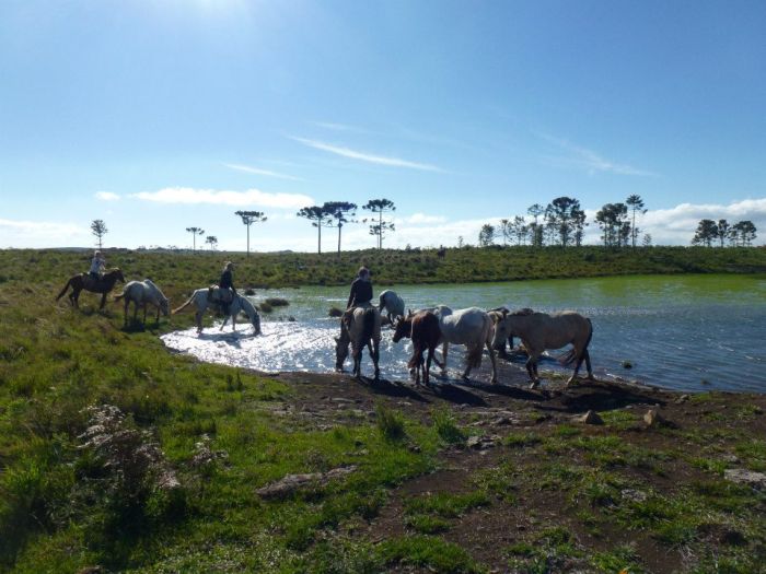 Gaucho Pampas Trail