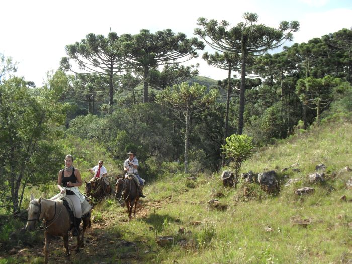 Gaucho Pampas Trail