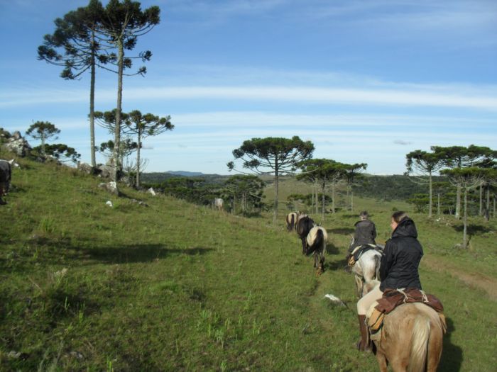 Gaucho Pampas Trail