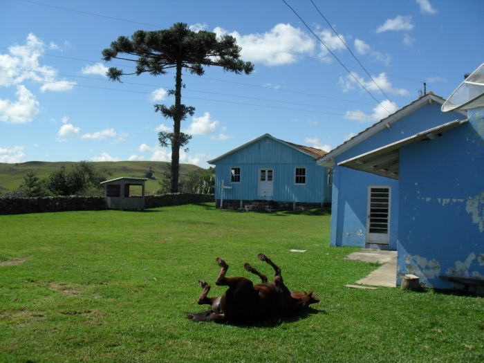 Gaucho Pampas Trail