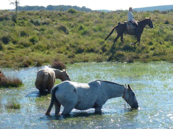 Gaucho Pampas Trail