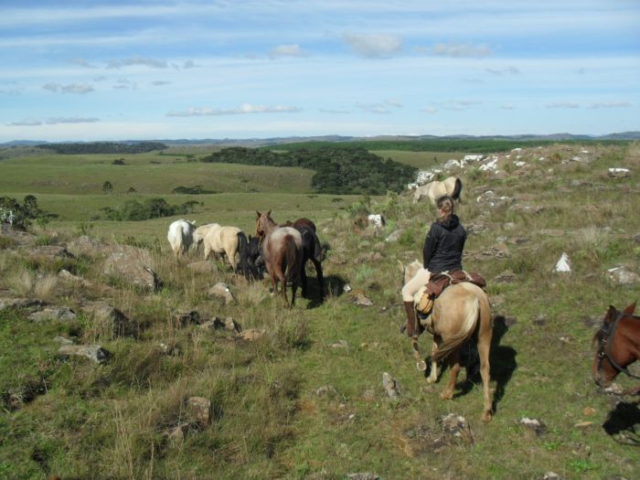 Gaucho Pampas Trail