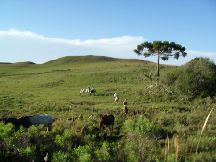 Gaucho Pampas Trail