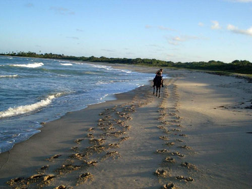 Bahia Strand-Trail