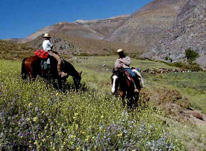 Reitabenteuer im Norte Chico