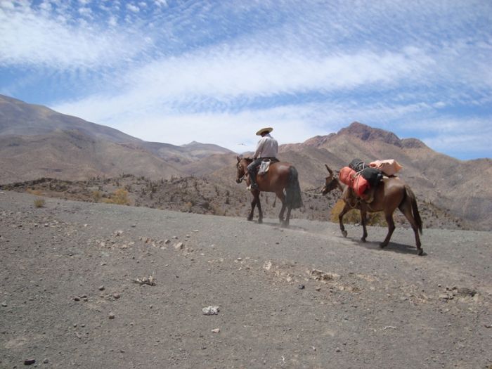Reitabenteuer im Norte Chico