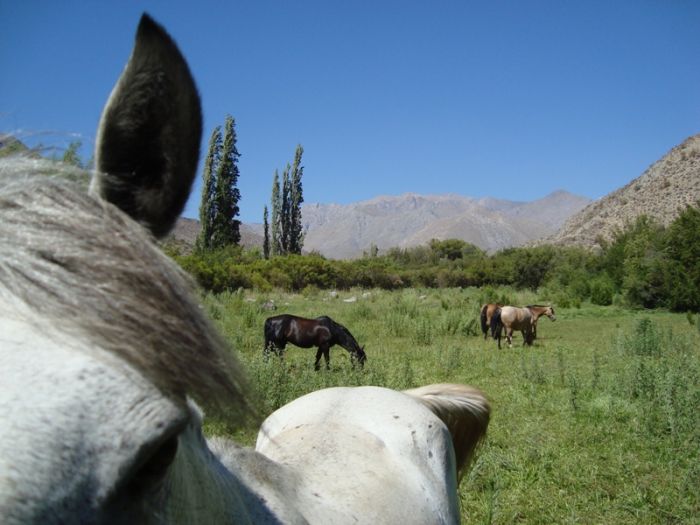 Reitabenteuer im Norte Chico