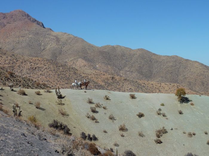 Reitabenteuer im Norte Chico