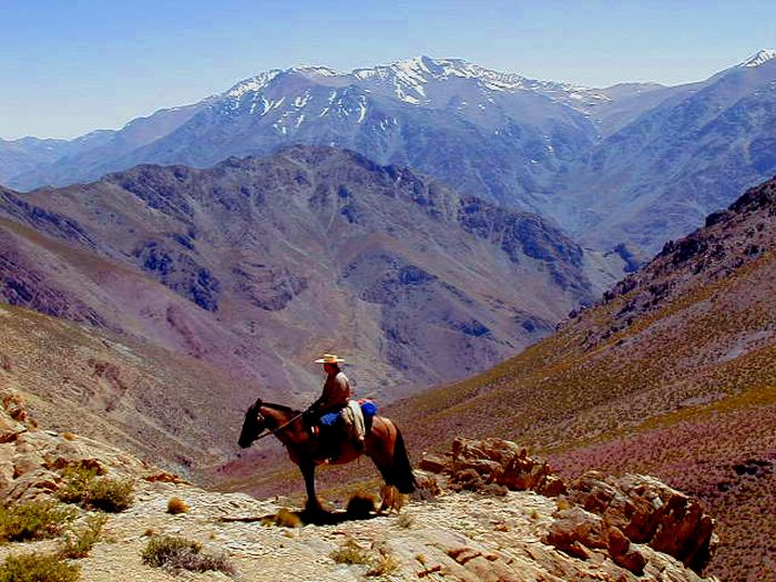 Reitabenteuer im Norte Chico