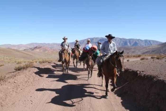 Reitabenteuer im Norte Chico