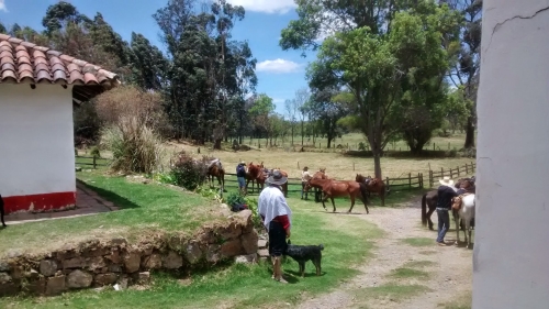 Kolumbien Hacienda Trail