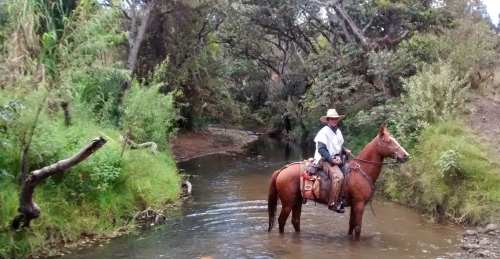 Kolumbien Hacienda Trail