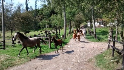 Kolumbien Hacienda Trail